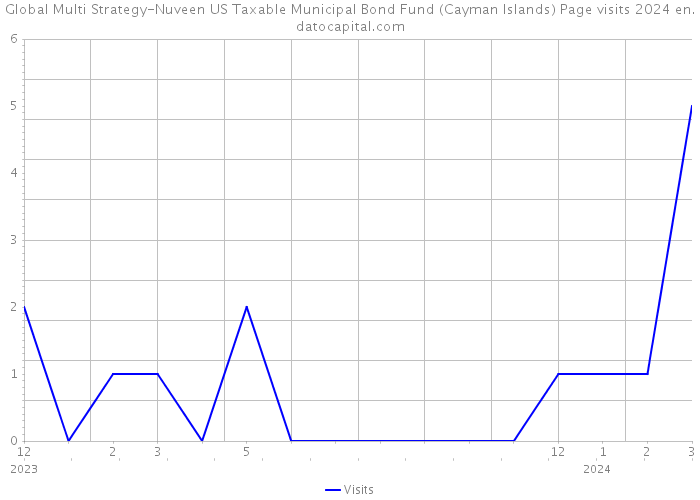 Global Multi Strategy-Nuveen US Taxable Municipal Bond Fund (Cayman Islands) Page visits 2024 