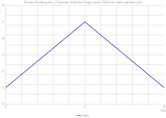 Posay Holding Inc. (Cayman Islands) Page visits 2024 