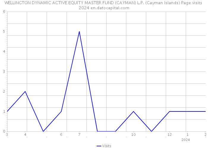 WELLINGTON DYNAMIC ACTIVE EQUITY MASTER FUND (CAYMAN) L.P. (Cayman Islands) Page visits 2024 