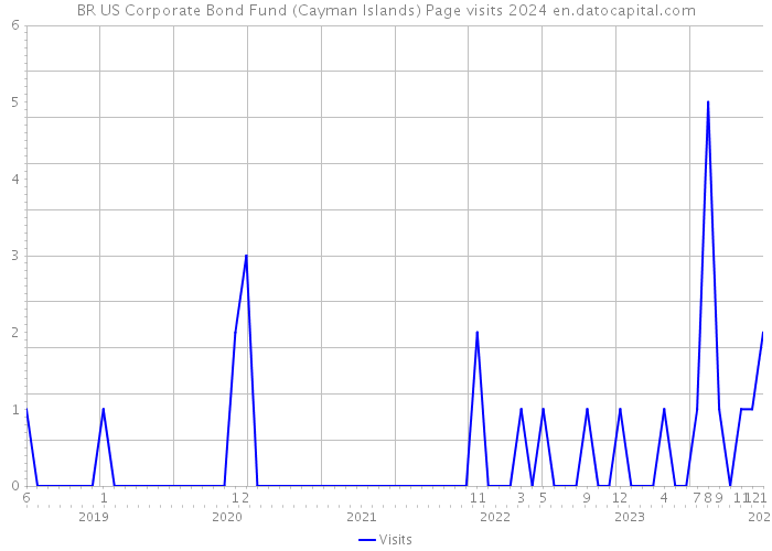 BR US Corporate Bond Fund (Cayman Islands) Page visits 2024 