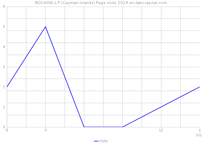 BOCAINA L P (Cayman Islands) Page visits 2024 