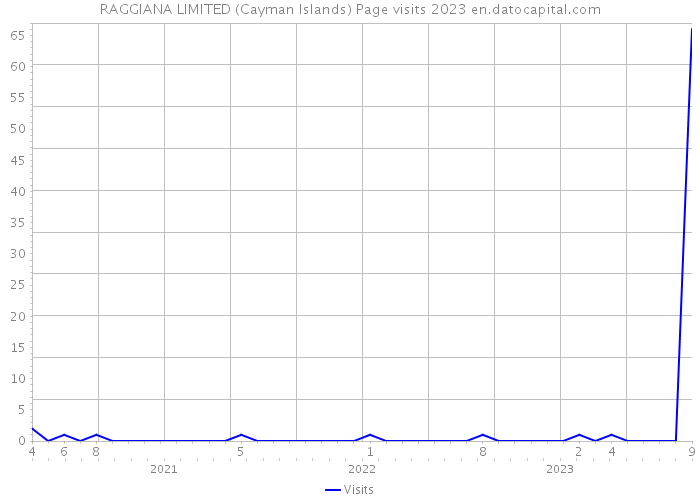 RAGGIANA LIMITED (Cayman Islands) Page visits 2023 