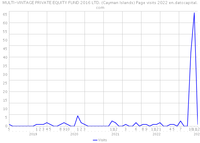 MULTI-VINTAGE PRIVATE EQUITY FUND 2016 LTD. (Cayman Islands) Page visits 2022 
