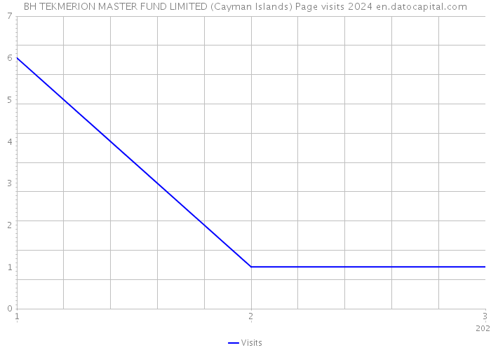 BH TEKMERION MASTER FUND LIMITED (Cayman Islands) Page visits 2024 