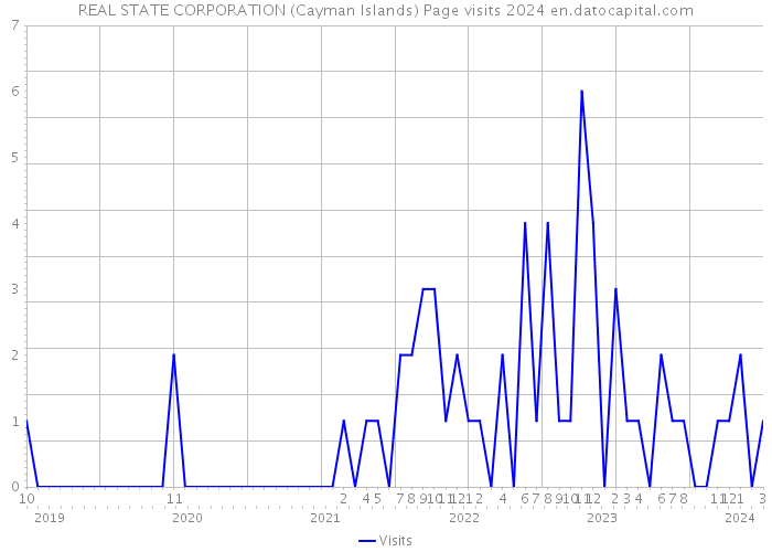 REAL STATE CORPORATION (Cayman Islands) Page visits 2024 