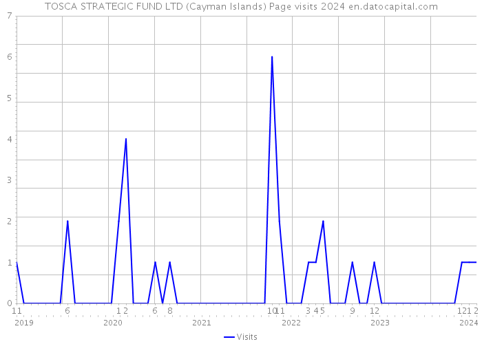 TOSCA STRATEGIC FUND LTD (Cayman Islands) Page visits 2024 