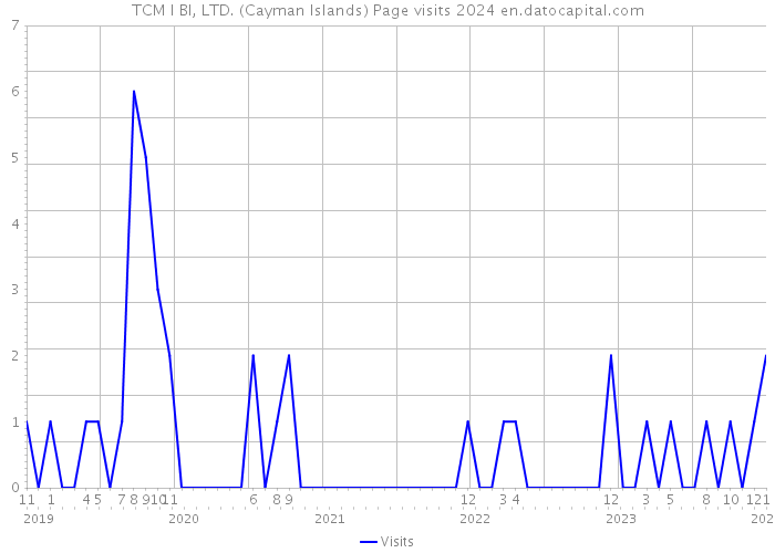 TCM I BI, LTD. (Cayman Islands) Page visits 2024 