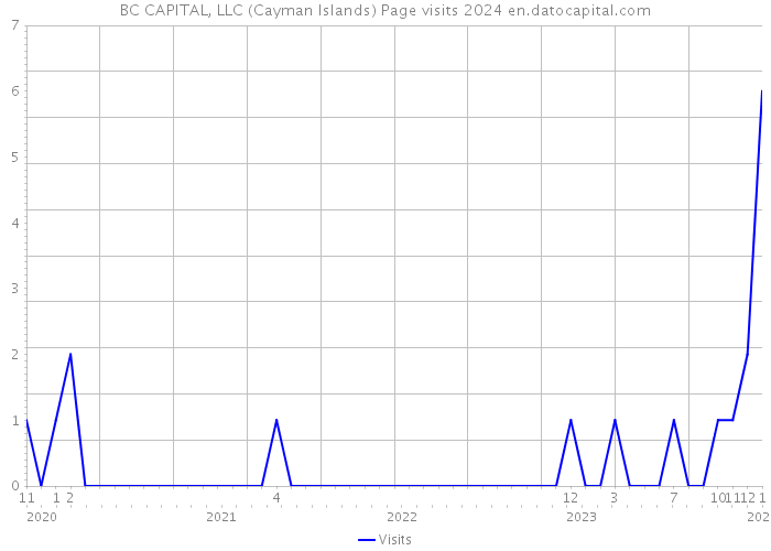 BC CAPITAL, LLC (Cayman Islands) Page visits 2024 