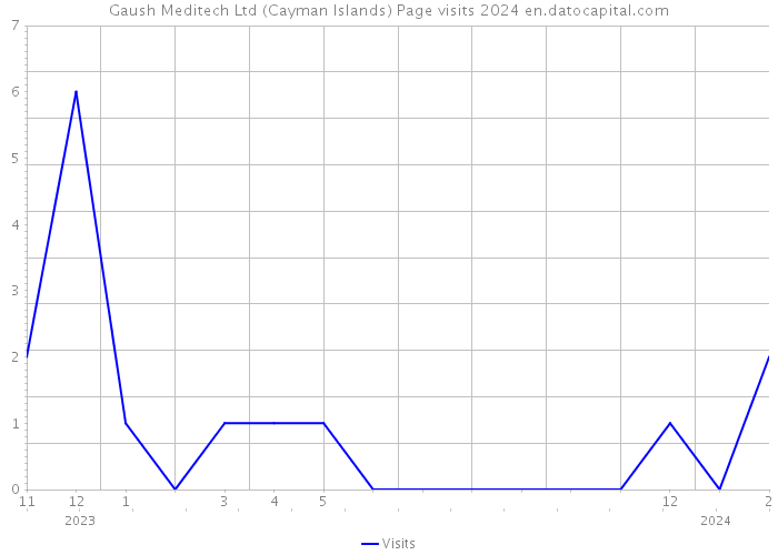 Gaush Meditech Ltd (Cayman Islands) Page visits 2024 