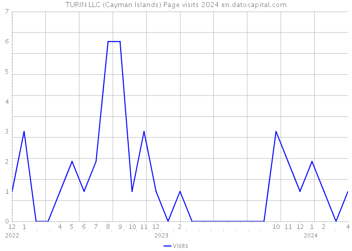TURIN LLC (Cayman Islands) Page visits 2024 