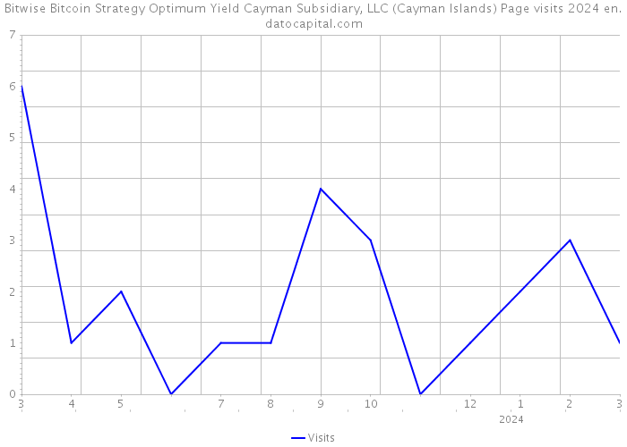 Bitwise Bitcoin Strategy Optimum Yield Cayman Subsidiary, LLC (Cayman Islands) Page visits 2024 