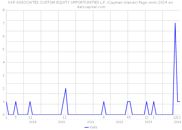 KKR ASSOCIATES CUSTOM EQUITY OPPORTUNITIES L.P. (Cayman Islands) Page visits 2024 