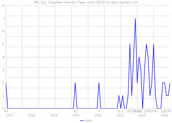 BIP, LLC (Cayman Islands) Page visits 2024 