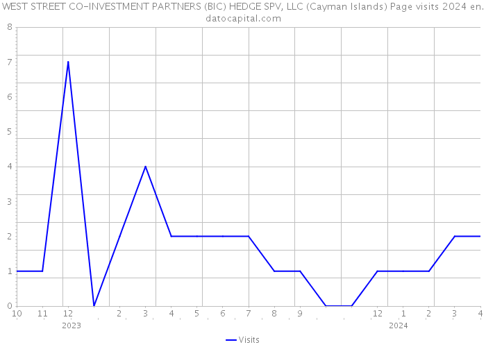WEST STREET CO-INVESTMENT PARTNERS (BIC) HEDGE SPV, LLC (Cayman Islands) Page visits 2024 