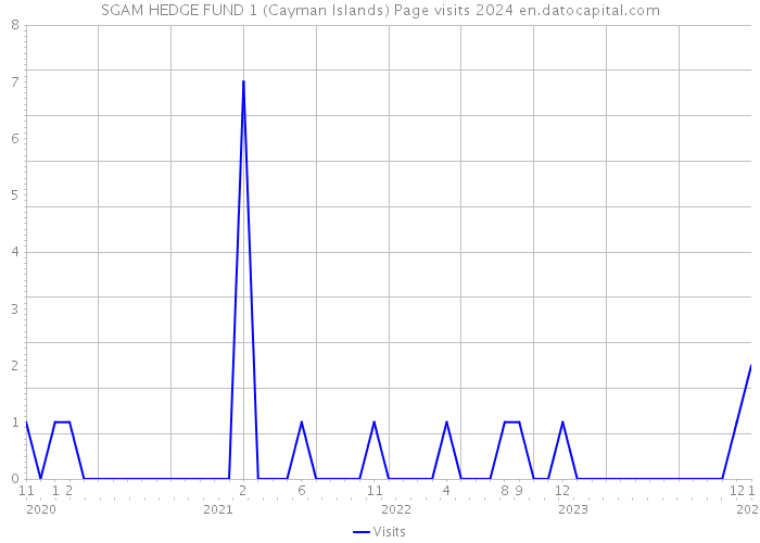 SGAM HEDGE FUND 1 (Cayman Islands) Page visits 2024 