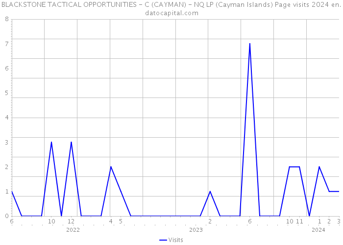 BLACKSTONE TACTICAL OPPORTUNITIES - C (CAYMAN) - NQ LP (Cayman Islands) Page visits 2024 