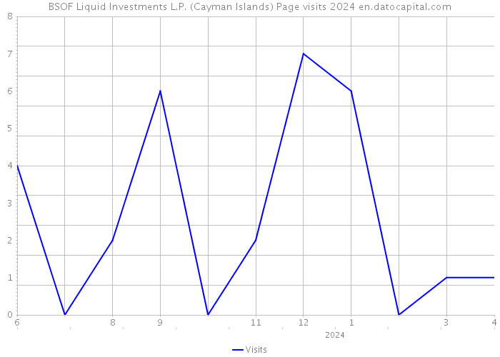 BSOF Liquid Investments L.P. (Cayman Islands) Page visits 2024 