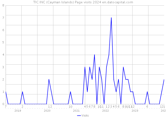 TIC INC (Cayman Islands) Page visits 2024 