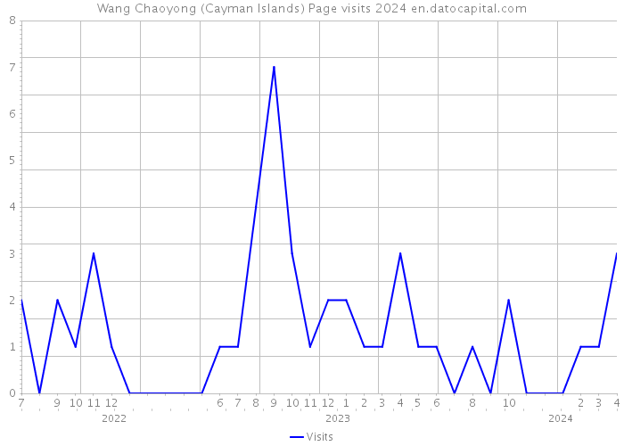 Wang Chaoyong (Cayman Islands) Page visits 2024 