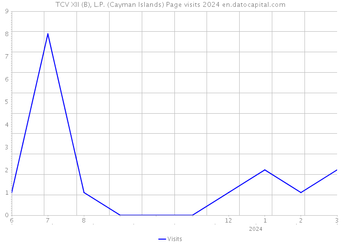 TCV XII (B), L.P. (Cayman Islands) Page visits 2024 