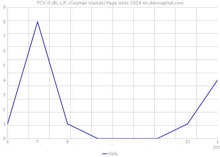 TCV XI (B), L.P. (Cayman Islands) Page visits 2024 