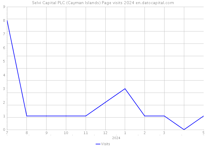 Selvi Capital PLC (Cayman Islands) Page visits 2024 